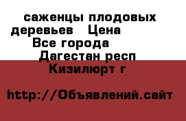 саженцы плодовых деревьев › Цена ­ 6 080 - Все города  »    . Дагестан респ.,Кизилюрт г.